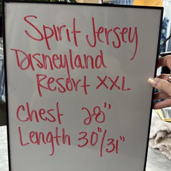 Spirit Jersey | Disneyland Resort Gray Sweatshirt and Sherpa Fleece Combo XXL - Picture 10 of 10